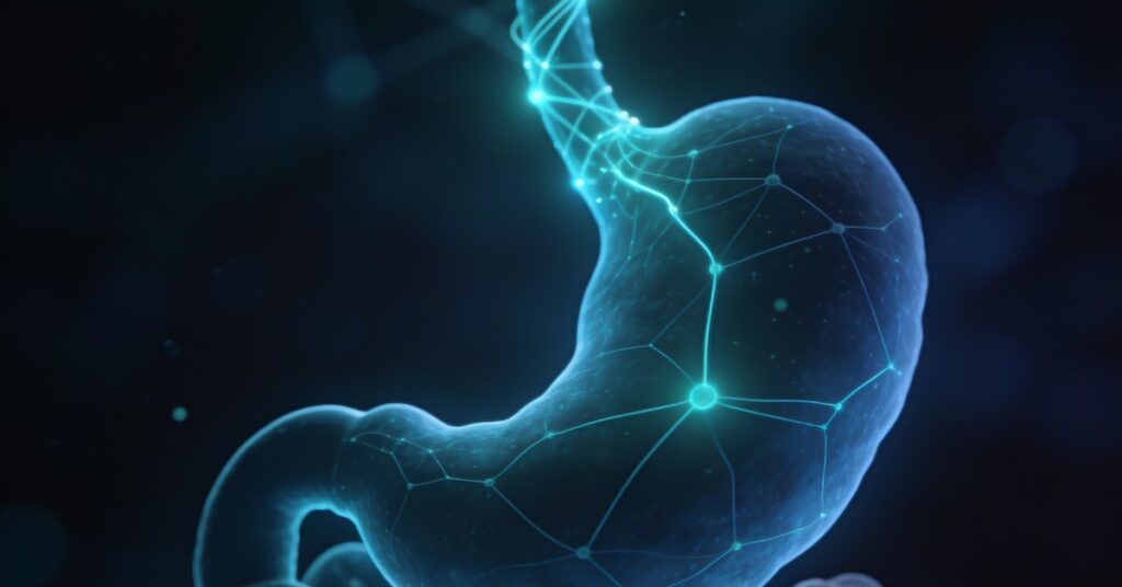 Does IBS make you tired? Understanding the link to chronic fatigue